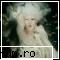 It's true??? - i don't think that x-tinas gather is dead who - International forum